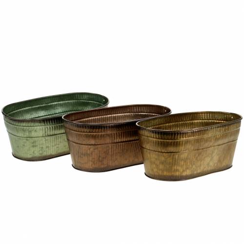 Floristik24 Taça para plantas oval laranja, castanho, verde 26×13,5cm A11cm conjunto de 3