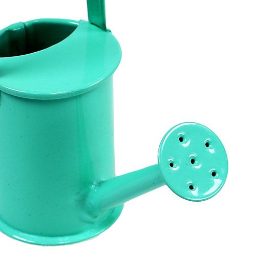 Floristik24 Variedade pastel de mini regadores. Ø4cm 12pcs