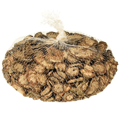 Itens Mini discos de madeira decoração de noz de bétele com grãos 1-4,5cm 300g