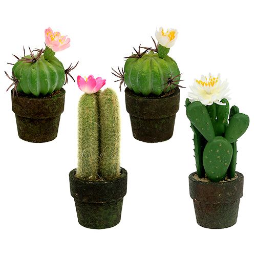 Floristik24.pt Mini cacto com flores Alt.9-12cm 4pçs - compre barato online