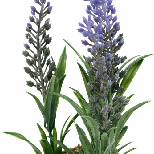Floristik24 Mini lavanda em um vaso de plantas artificiais Decoração de lavanda artificial
