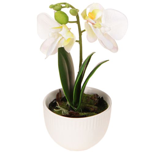 Itens Mini orquídeas artificiais orquídeas brancas em vaso 15cm