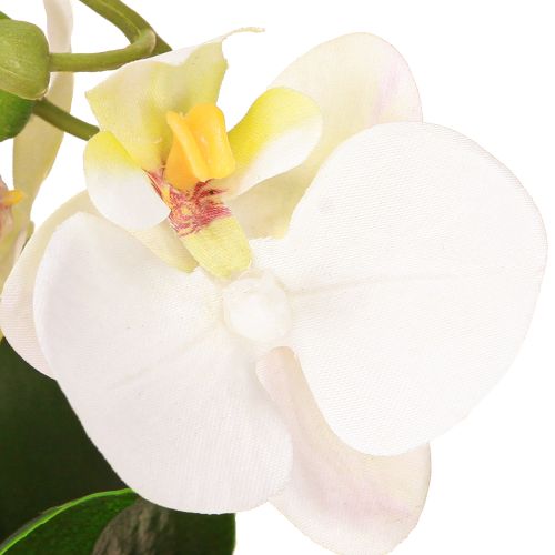 Itens Mini orquídeas artificiais orquídeas brancas em vaso 15cm