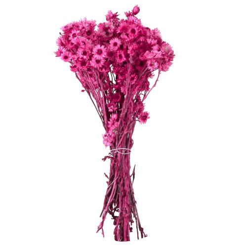 Itens Mini Flor de Palha Rosa Flor Seca Flor Rocha H20cm 15g