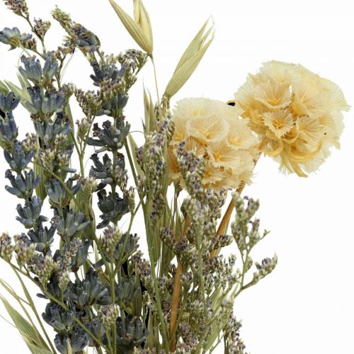 Floristik24 Mini buquê de flores secas boho, floricultura de flores secas L22cm