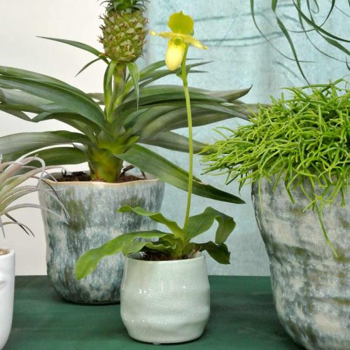 Floristik24 Mini cachepot, vaso de cerâmica, lanterna decorativa, padrão de onda de vaso de planta Ø8cm 6pcs