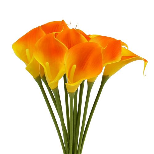 Floristik24.pt Mini Calla amarelo artificial 28cm 12pcs - compre barato  online