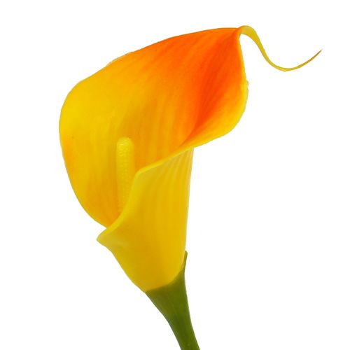 Itens Mini calla artificial amarelo 28cm 12 un