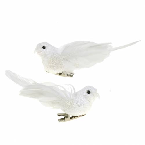 Floristik24 Mini pombo no clipe 9cm 2pcs