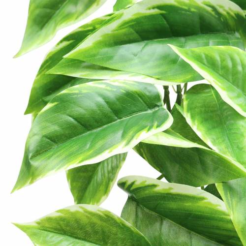 Floristik24 Funkie com bordas brancas verde artificial, branco 100cm
