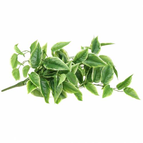 Floristik24 Funkie com bordas brancas verde artificial, branco 100cm