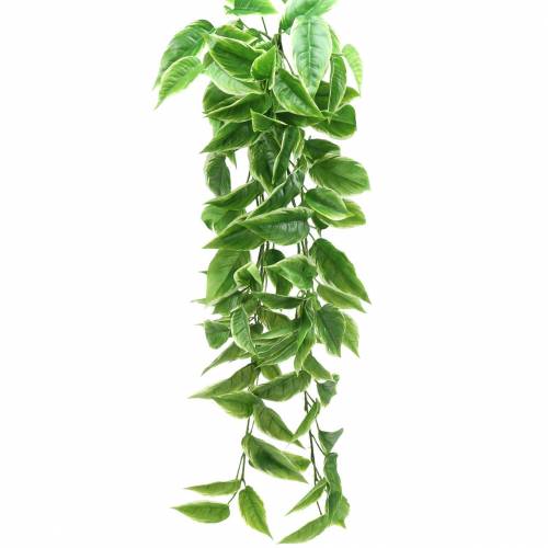 Funkie com bordas brancas verde artificial, branco 100cm