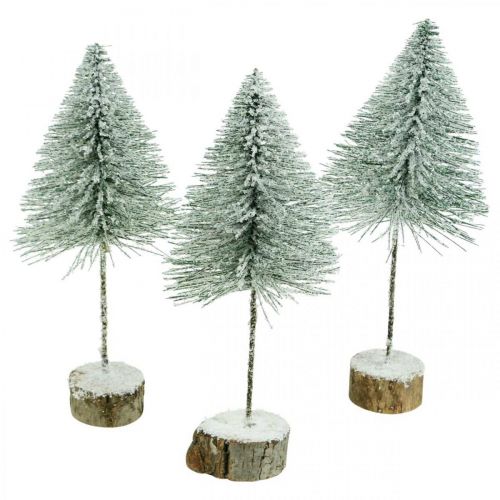 Floristik24 Abetos decorativos, decorações de inverno, árvore de Natal, Advento H30 / 32cm Ø13,5cm conjunto de 3