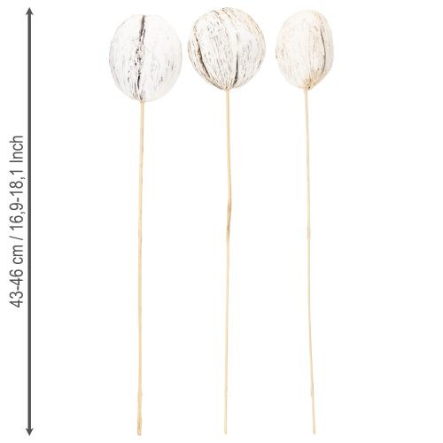 Itens Mistura de bola Mintolla em palito caiada 6 unidades