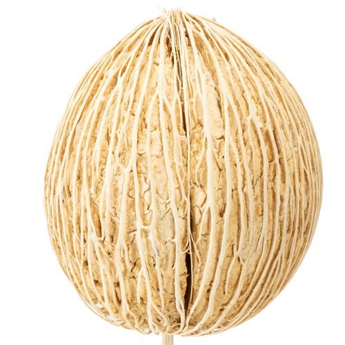 Itens Bola Mintolla branqueada 8cm - 10cm C46cm 6 unid.