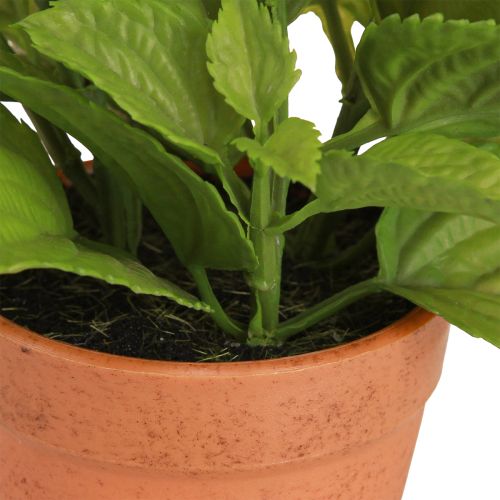 Itens Hortelã em vaso Ervas artificiais Plantas artificiais 18cm 2 unidades