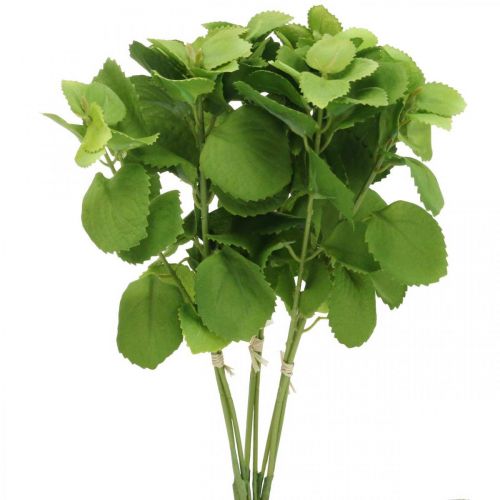 Itens Verde menta artificial, ramos de menta deco, flor de seda L32cm 3pcs