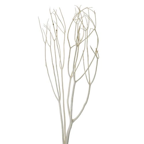 Floristik24 Ramos decorativos Mitsumata 115cm branqueados 3 unidades