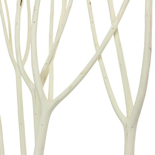 Itens Ramos Mitsumata deco 115 cm branqueados 3 unidades