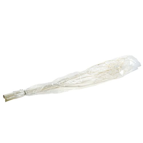 Floristik24 Ramos decorativos Mitsumata 115cm branqueados 3 unidades