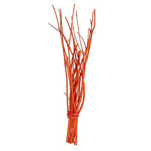 Floristik24 Mitsumata branches orange 34-60cm 12pcs