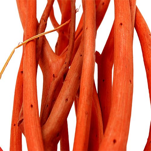 Floristik24 Mitsumata branches orange 34-60cm 12pcs