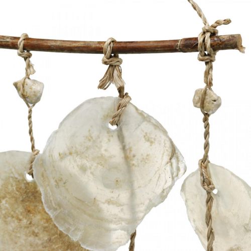 Floristik24 Cabide de decoração marítima, conchas de capiz, decoração de verão L73cm L35cm