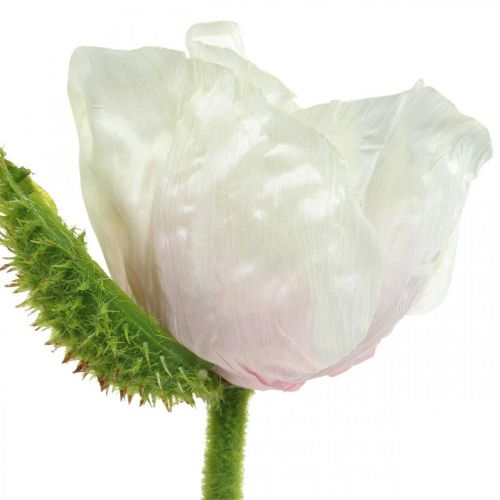 Floristik24 Papoula artificial, flor de seda branco-rosa L55/60/70cm conjunto de 3