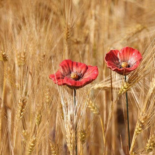 Itens Conjunto de 6 peças de flores de papoula de cerâmica para decoração romântica de jardim e canteiros de flores na primavera, 31 cm.