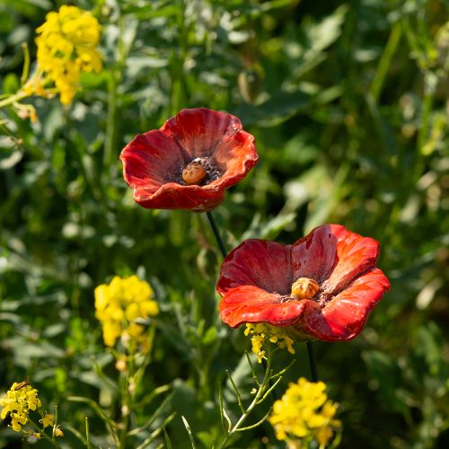 Itens Estacas decorativas de papoula para jardim, elemento decorativo perfeito para o seu jardim, 42 cm, 4 peças.