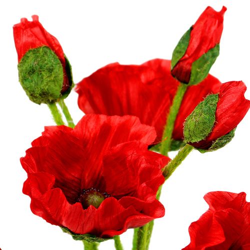 Floristik24 Papoilas vermelhas Ø7cm C 48cm 4pcs