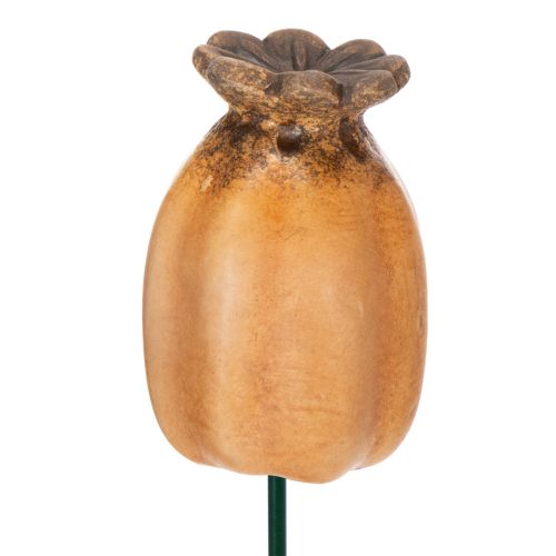 Itens Cápsula de papoula para jardim - destaque decorativo para jardim e projetos de faça você mesmo - 41 cm, 4 peças