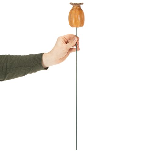 Itens Estaca de jardim em formato de cápsula de papoula para decoração elegante de jardins, canteiros ou varandas, 60 cm, 2 peças.