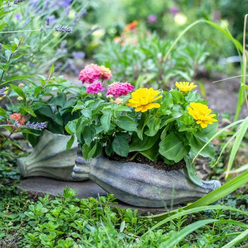 Floristik24 Cápsula de papoula para plantio, decoração de concreto, vaso de plantas, decoração de jardim L29,5cm