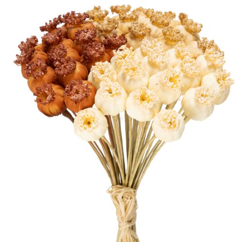 Maços de cápsulas de sementes de papoula artificiais secas, em três cores, 40 cm, 45 unidades. comprar | Floristik24.pt