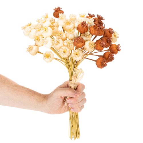 Maços de cápsulas de sementes de papoula artificiais secas, em três cores, 40 cm, 45 unidades. | Floristik24.pt
