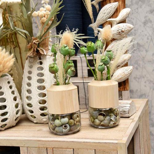 Floristik24 Cápsulas de sementes de papoula decoração sementes de papoula artificiais em um palito verde 58 cm 3 peças em um monte