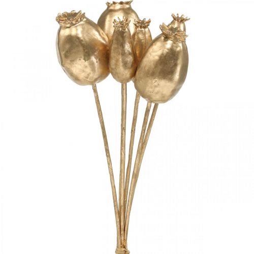 Cápsulas de semente de papoula sementes de papoula artificiais ouro decoração de Natal 38 cm 6 unidades