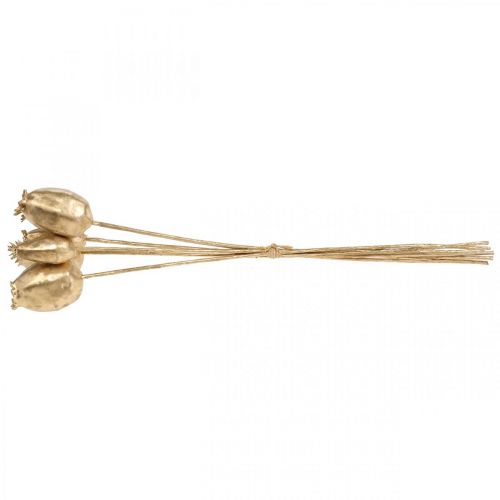Floristik24 Cápsulas de papoula decoração papoula ouro artificial decoração de natal 38 cm 6 unidades