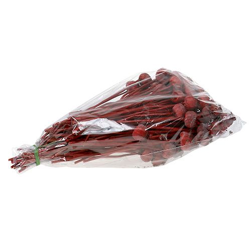 Floristik24 Cabeças de papoula coloridas em vermelho 100 unidades