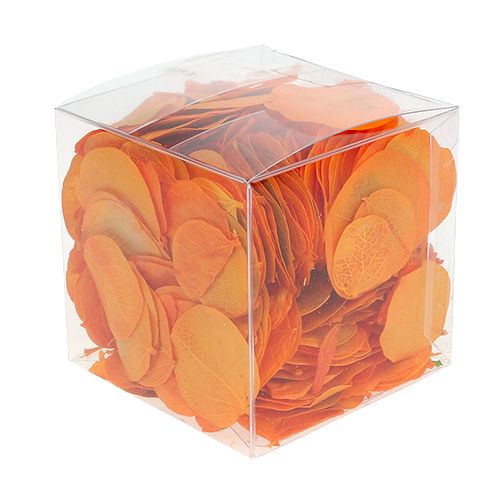 Floristik24 Folhas de Moneta Damasco 50g