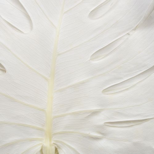 Itens Folhas de Monstera branqueadas folha decorativa para janela H40cm 5 peças