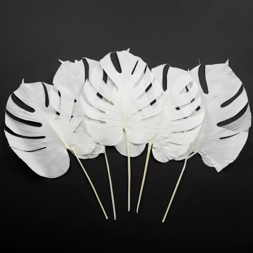 Itens Folhas de Monstera branqueadas folha decorativa para janela H40cm 5 peças