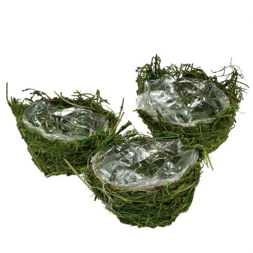 Tigela de musgo verde Ø11cm Alt.6.5cm - 7.5cm 5pcs
