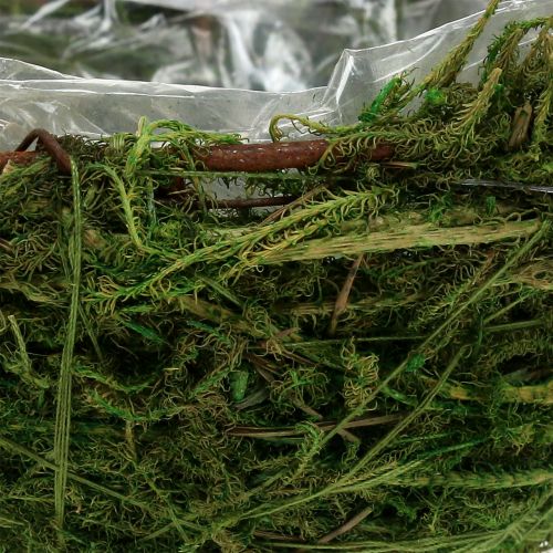 Floristik24 Tigela de musgo verde Ø11cm Alt.6.5cm - 7.5cm 5pcs