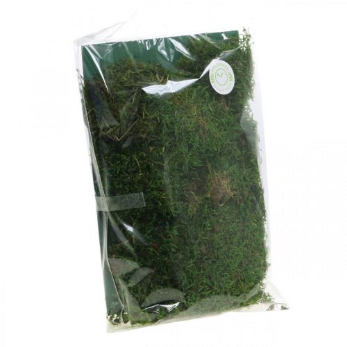 Floristik24 Musgo decorativo para artesanato verde, verde escuro 100g