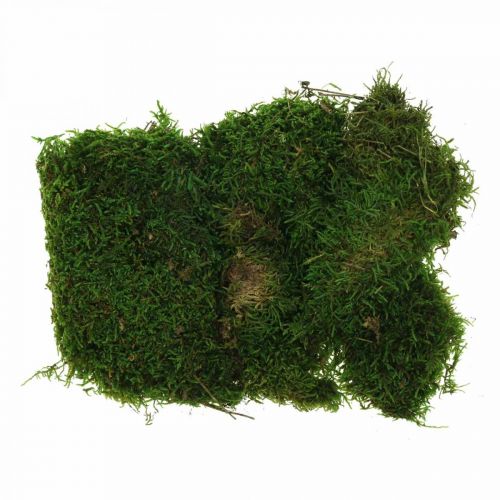 Floristik24 Musgo decorativo para artesanato verde, verde escuro 100g