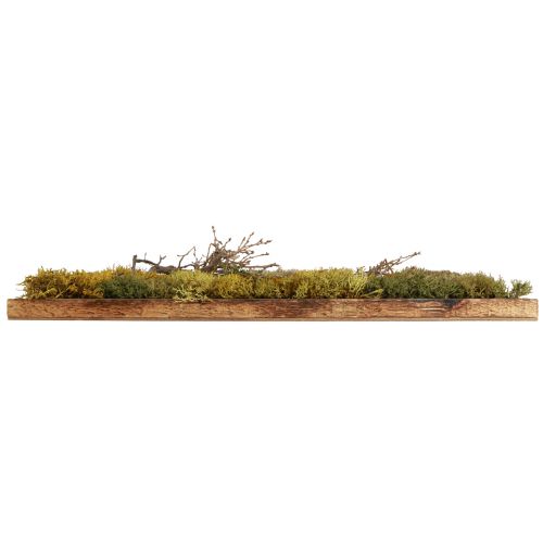 Itens Imagem de musgo preservado musgo real e ramos naturais 60×40cm