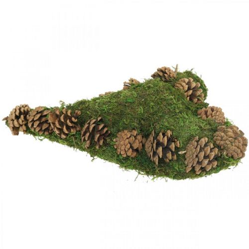 Floristik24 Decoração de sepultura coração musgo e cones base de arranjo 30 × 19cm