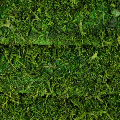 Itens Coroa decorativa de musgo para arranjos sazonais e designs personalizados, 15 cm, 6 peças